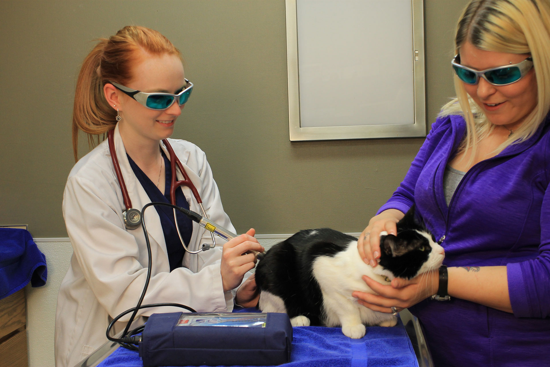 Laser Therapy  Akron, OH 